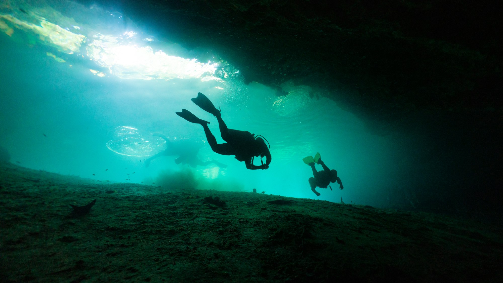 What Is Scuba Diving?